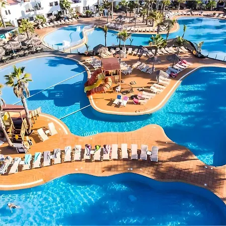 Rosa Oasis Dunas *
